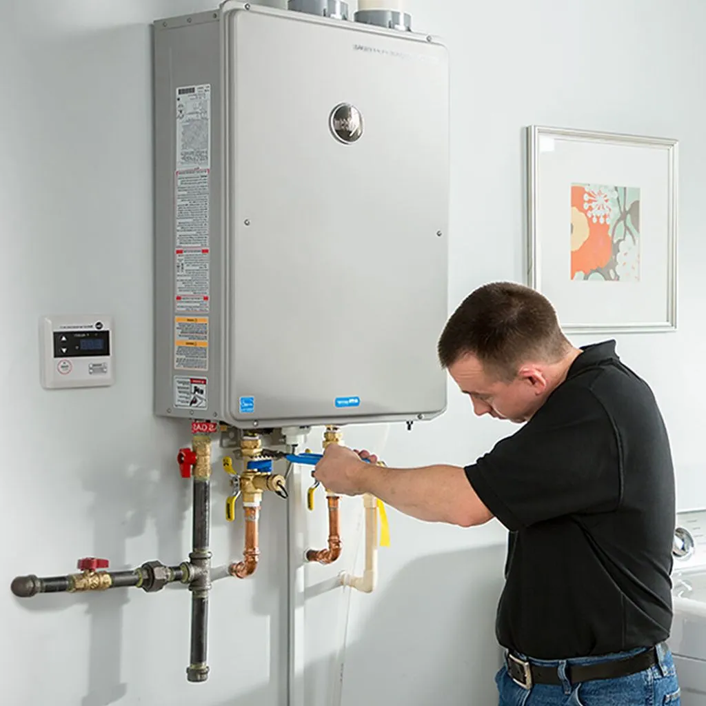 tankless water heater repair in Telferner, TX